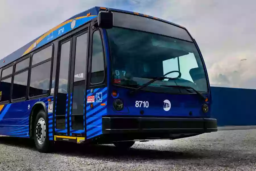 Mass Transit Buses.jpeg